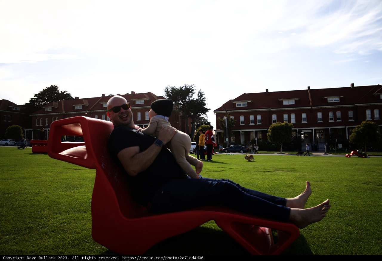 Summer Solitude: Reflective Moments in the Park