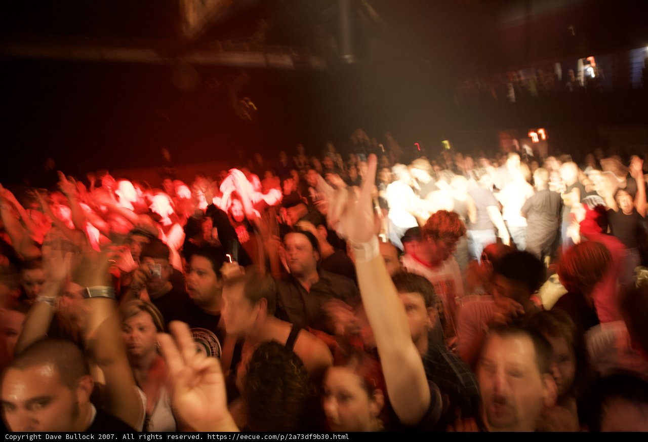 Nightclub Crowd Goes Wild