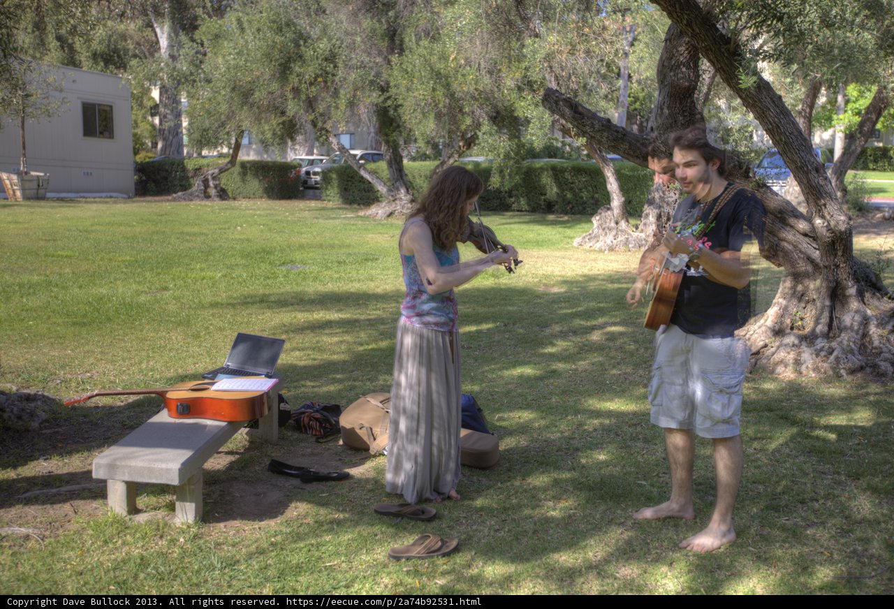 Music in the Park