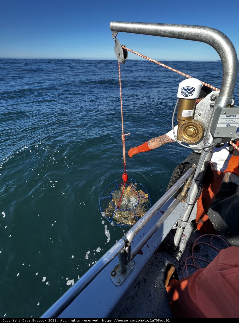 Fishing in the Gulf