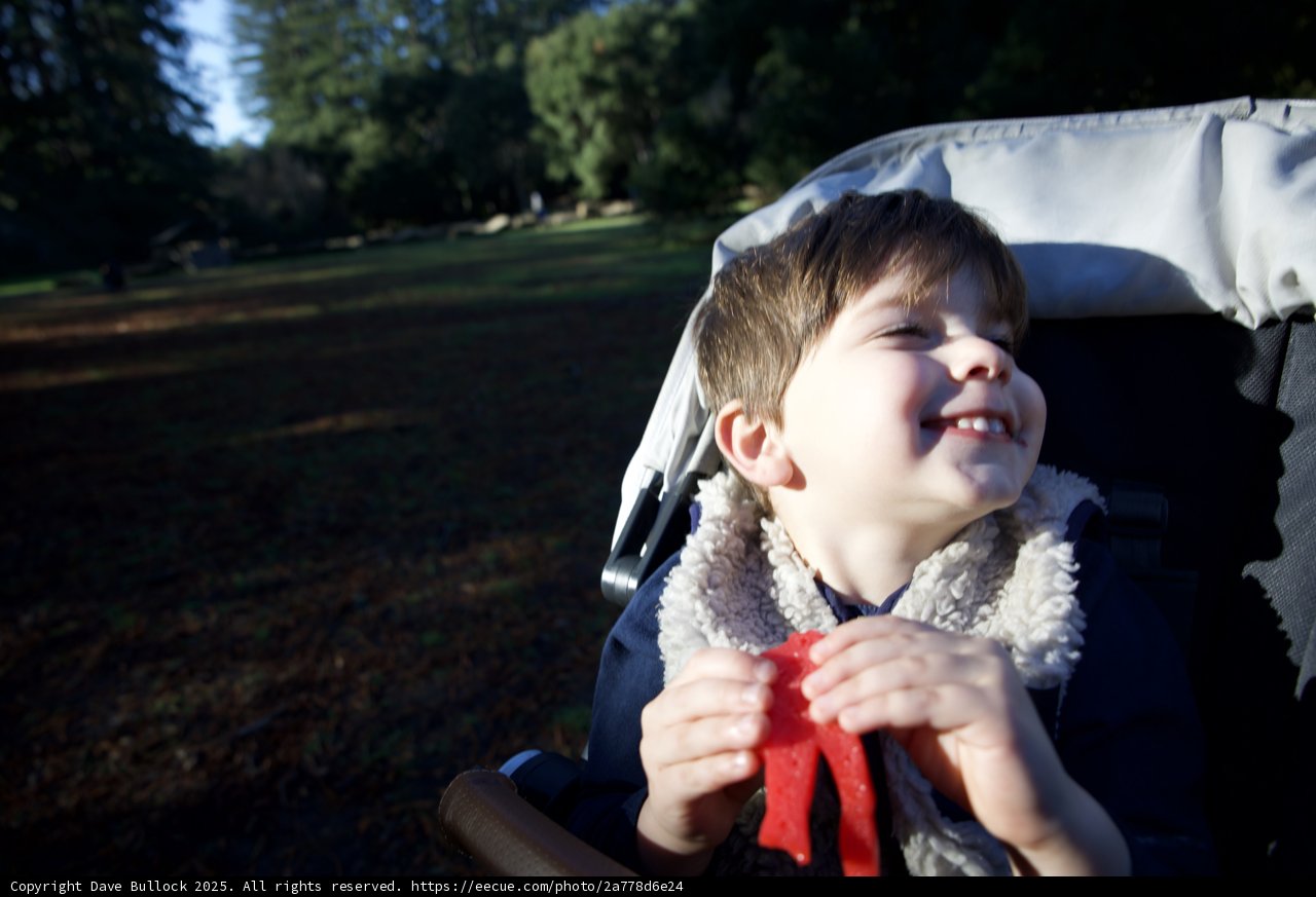 Joyful Moments in Thistlewyck
