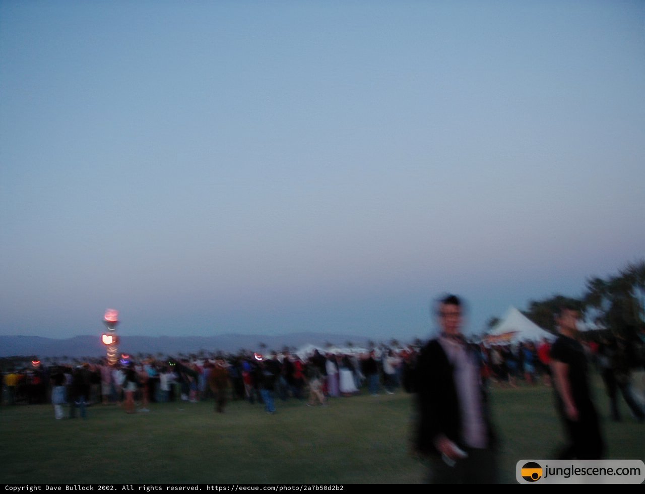 Dusk Gathering in the Field