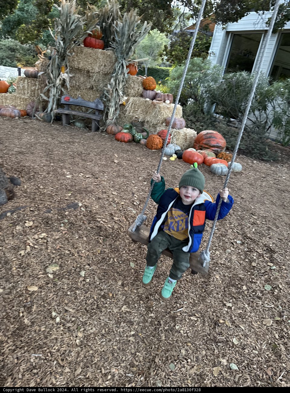 Autumn Adventures in Carmel