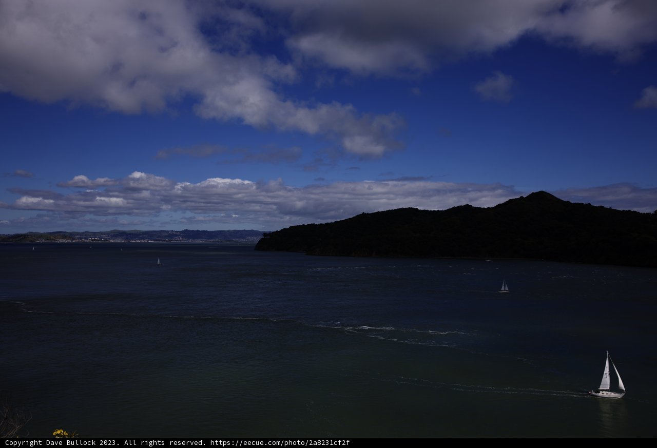 Sailing by Tiburon's Scenic Coast