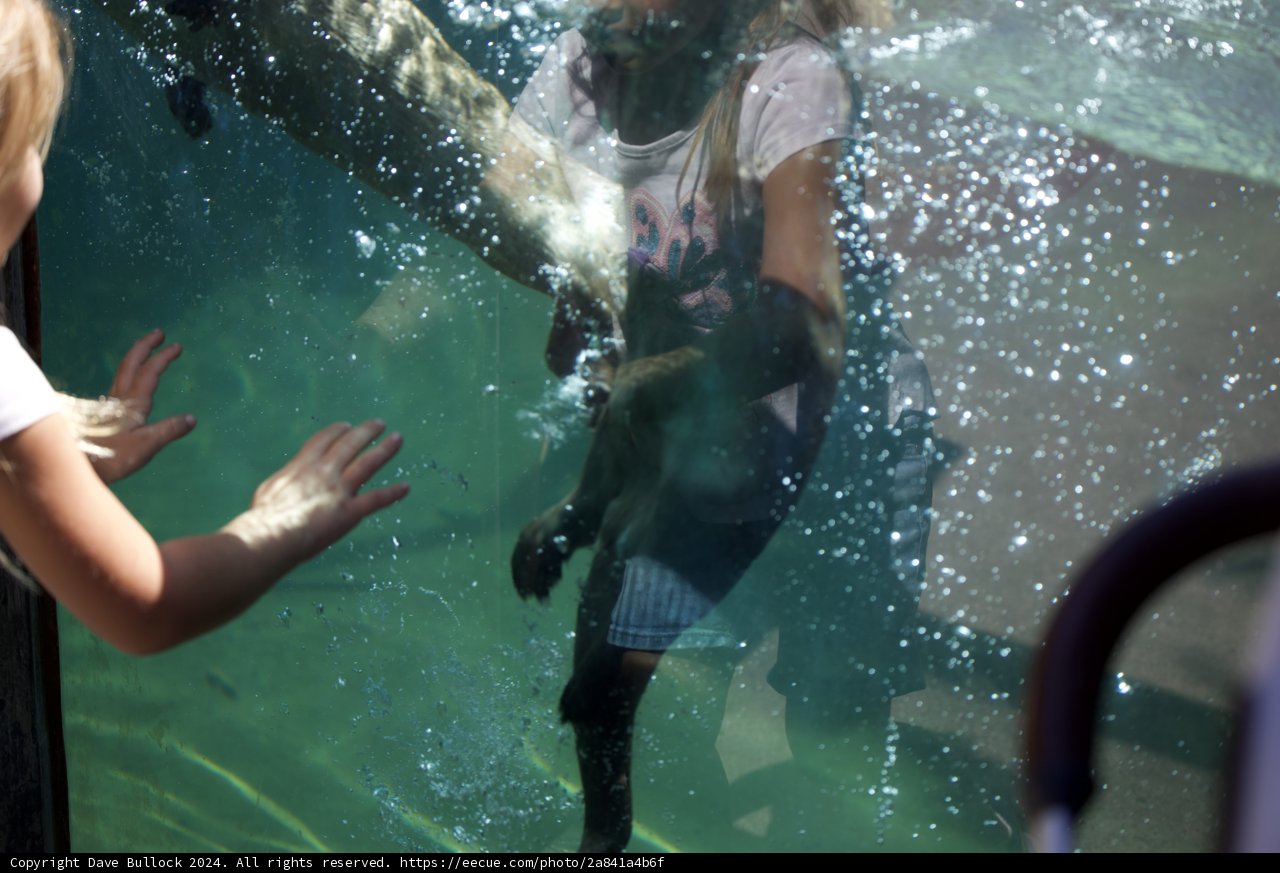 Underwater Wonder