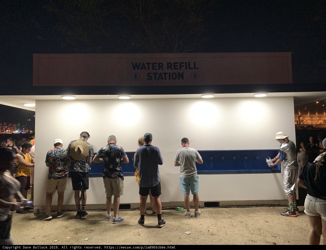 Nighttime Watering Hole