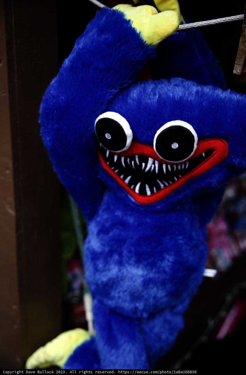 Meet Blue, the Enchanting Mascot