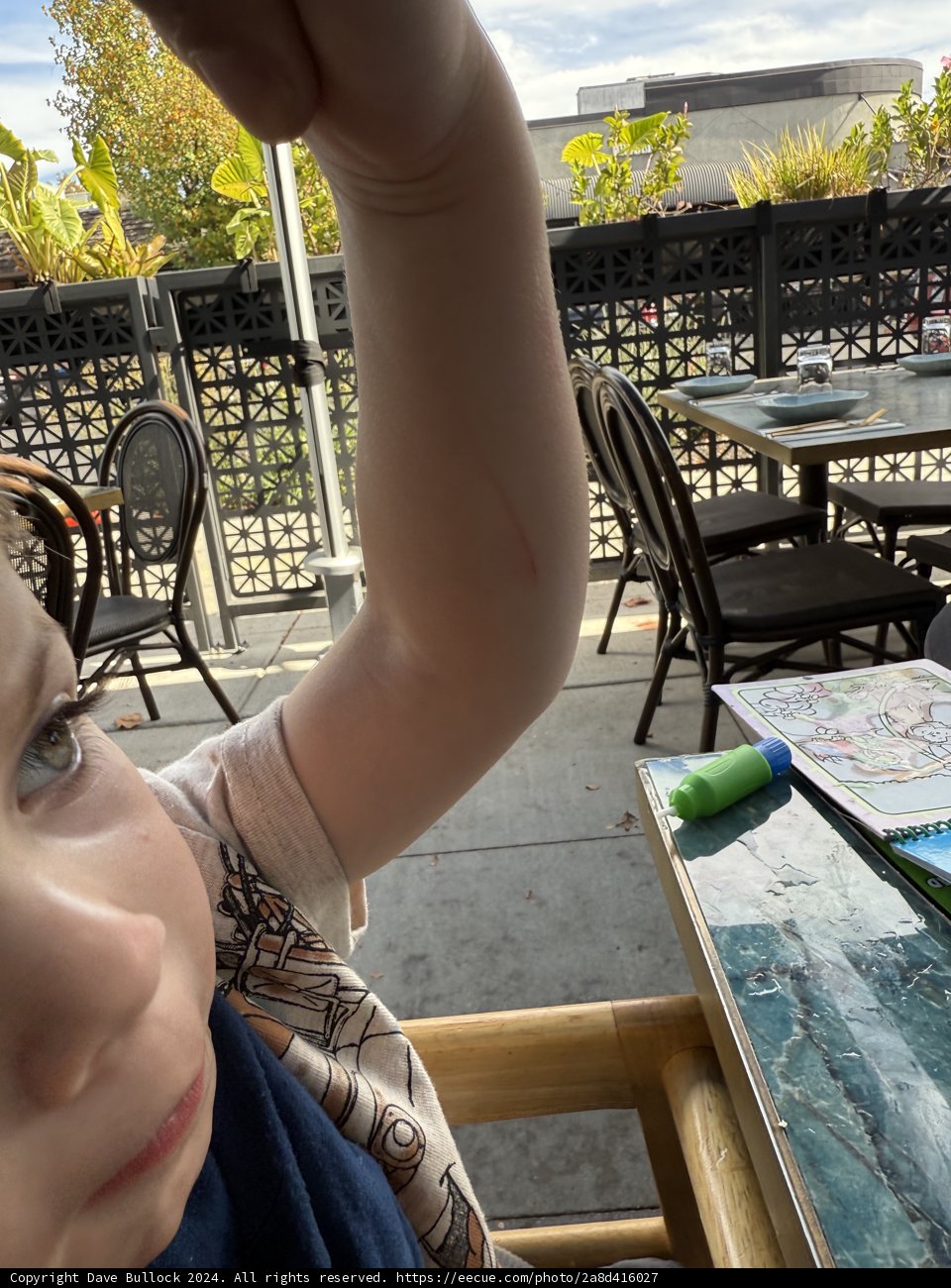 Afternoon on the Patio
