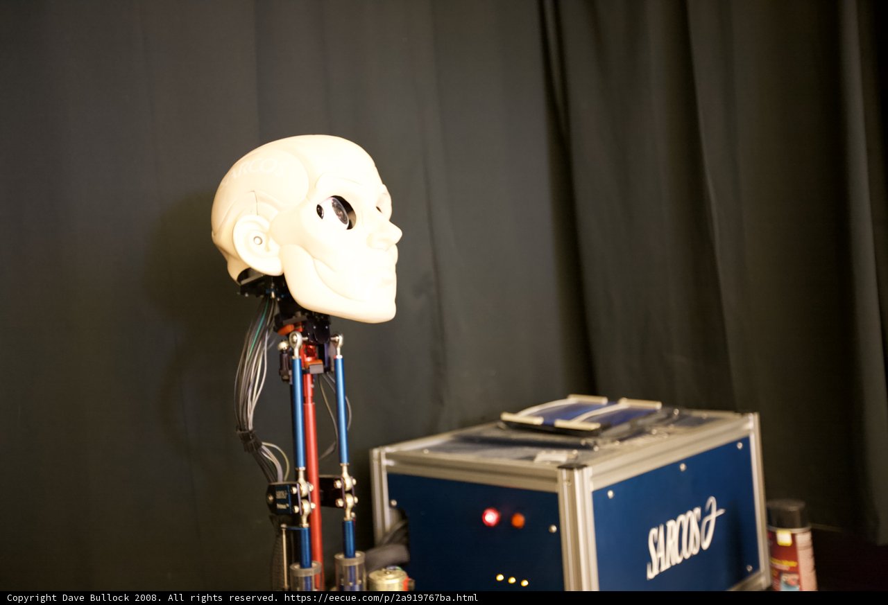 Skull Machine Toy on Blue Box