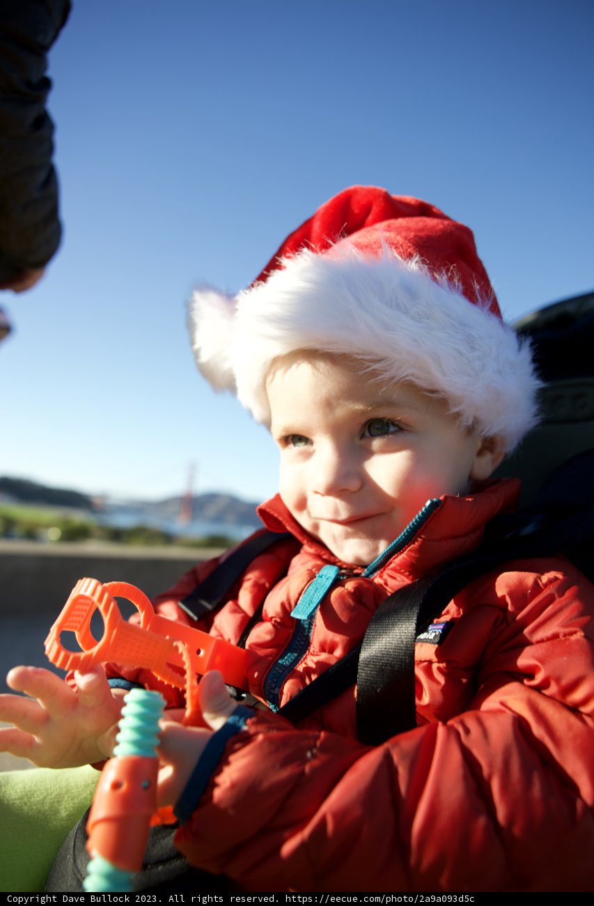The Little Santa's Festive Adventure