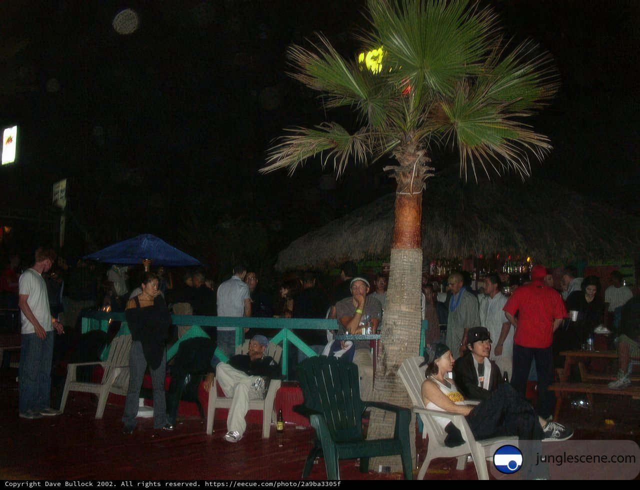 Nighttime Gathering around a Majestic Palm Tree