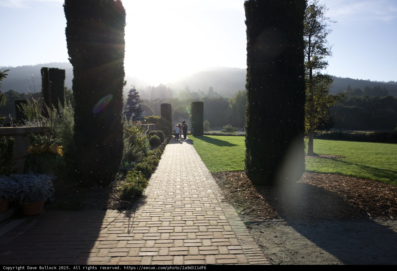 Stroll Through Sunlit Elegance