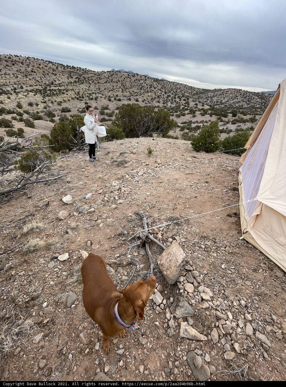 Desert Camping Companion