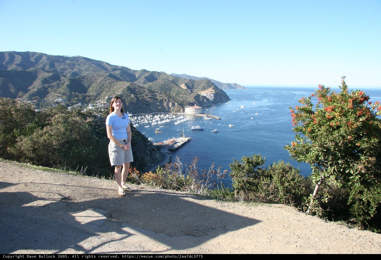 Scenic Overlook Above Avalon Harbor, Catalina Island