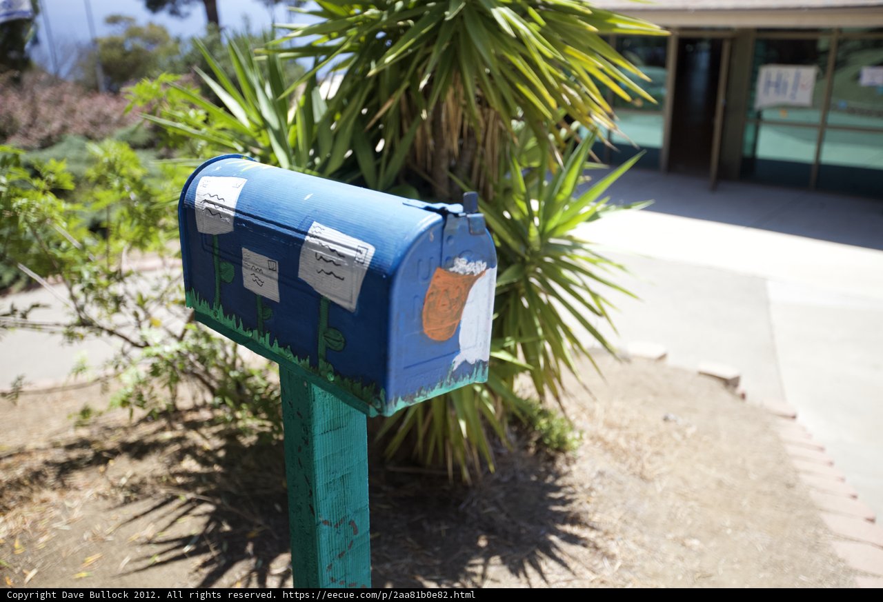 Feathered Visitor on the Mailbox