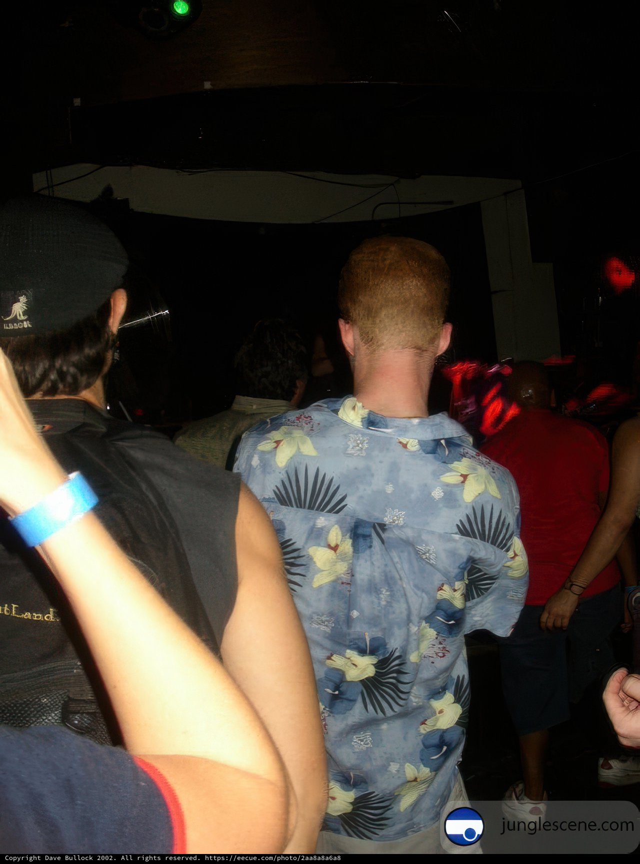 Hawaiian Nightclub Fun