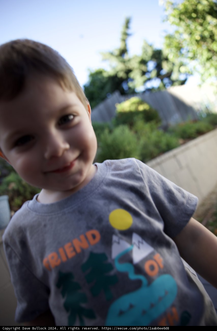 Wesley's Backyard Adventure