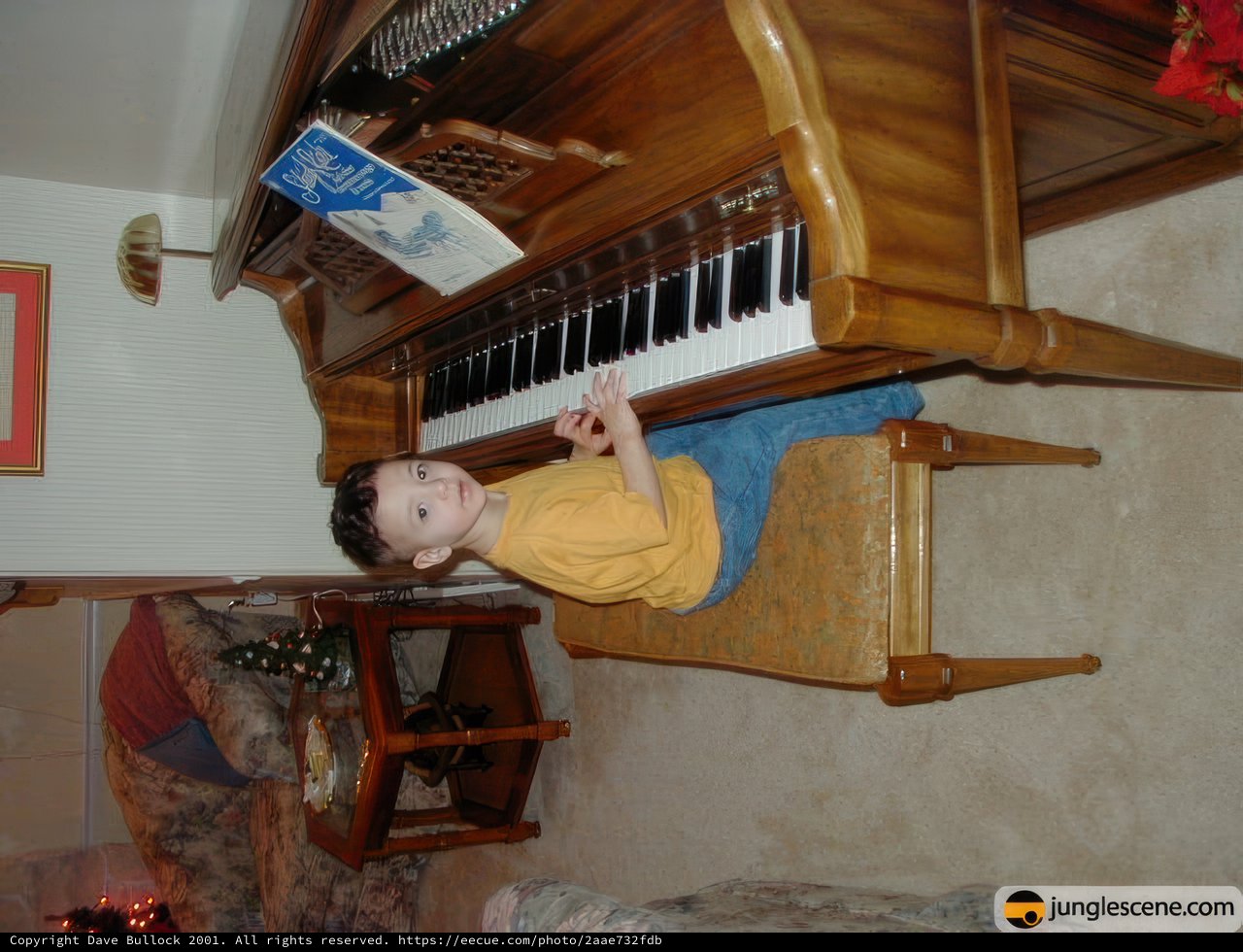 Piano Prodigy