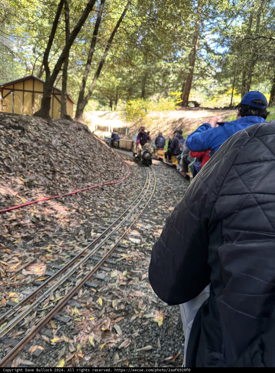 Scenic Railway Adventure