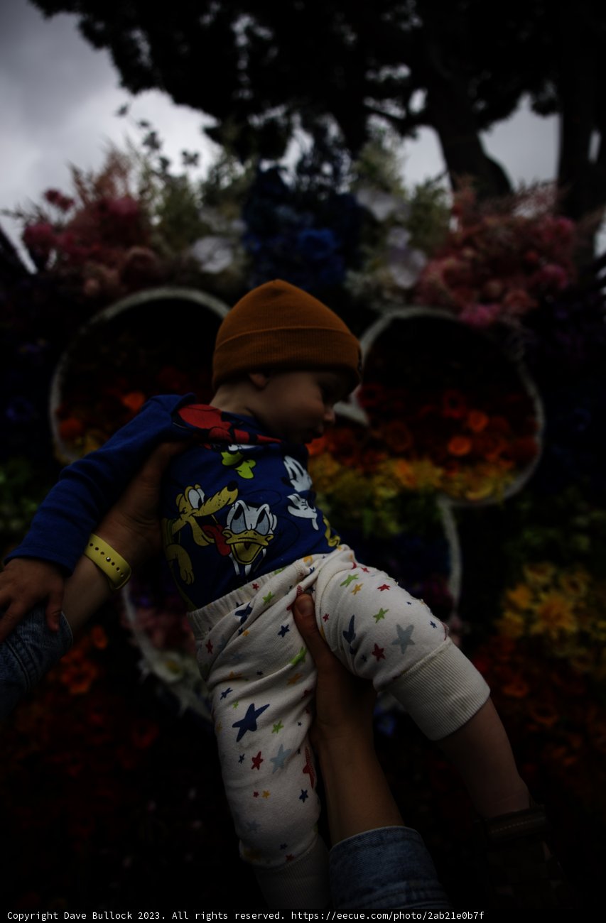 Blooming Memories with Baby at Disneyland