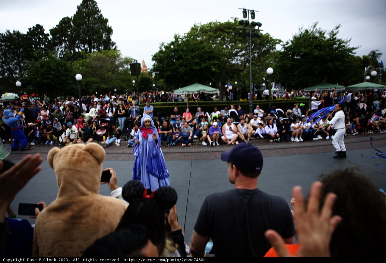 Magical Performance at the Park