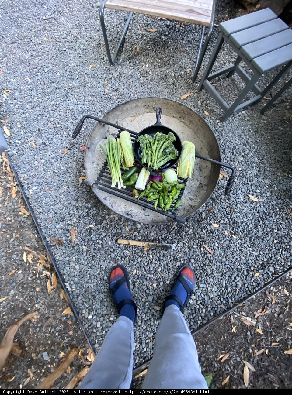 Grilling Up a Plant-Based Feast