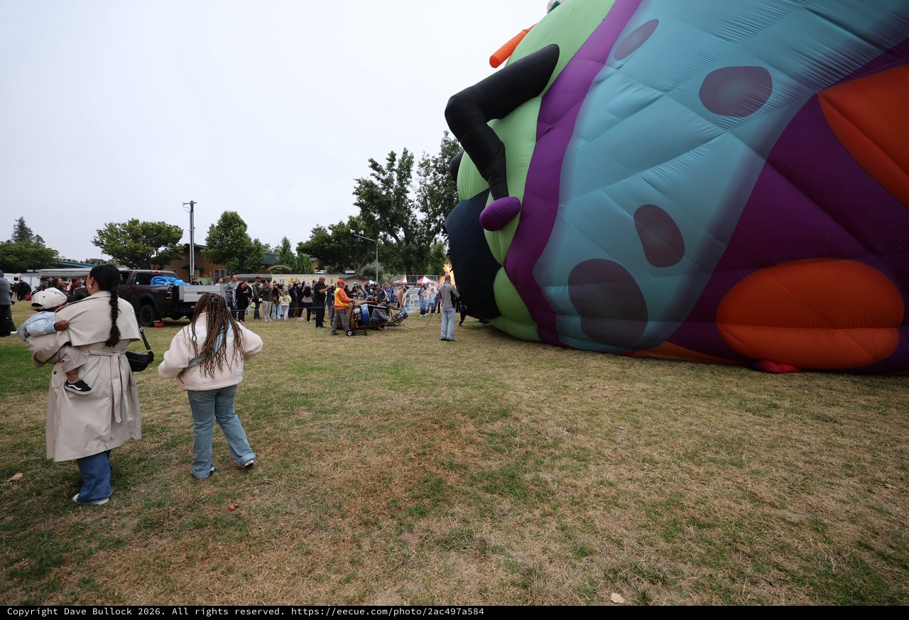 Giant Novelty Hot Air Balloon Inflation at Festival