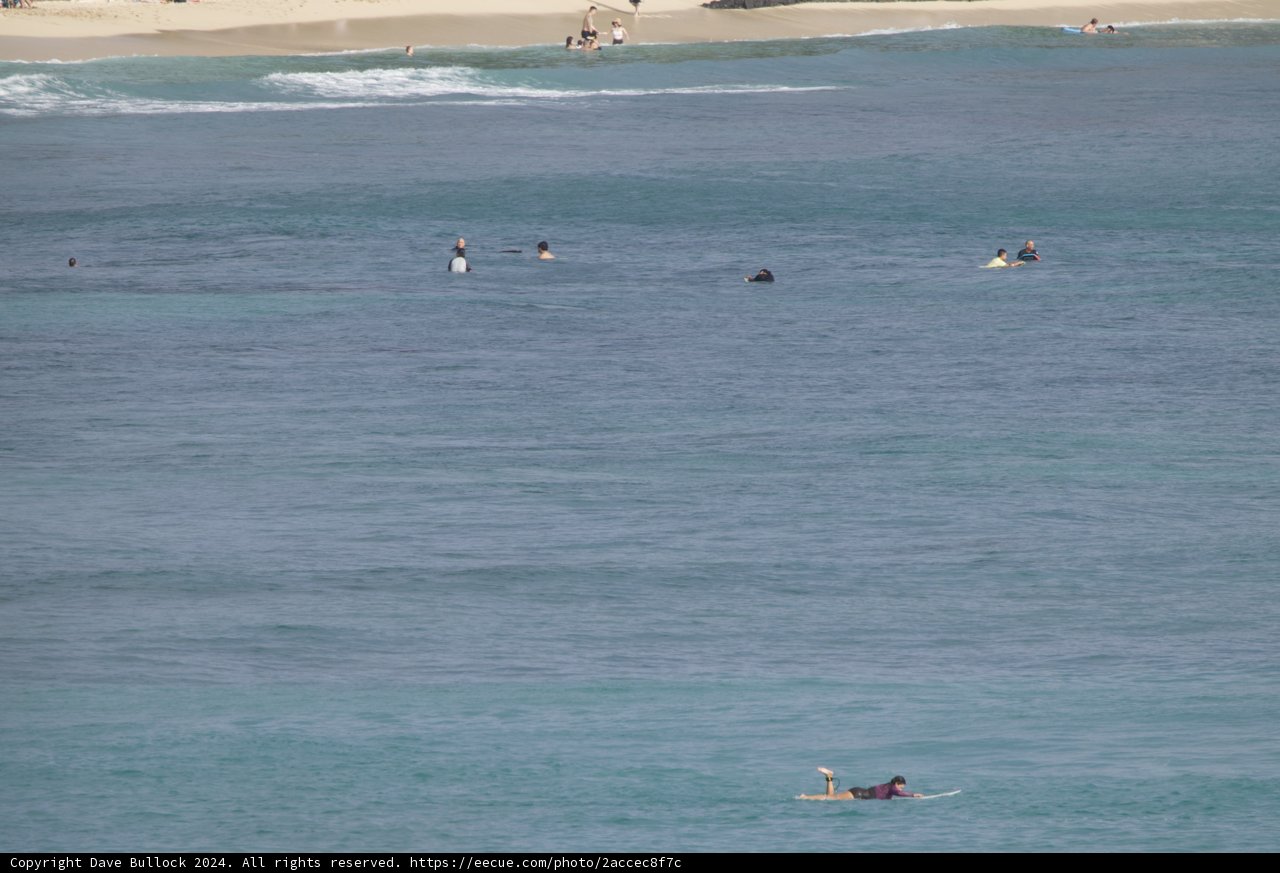Surf’s Up at the Hawaiian Shoreline