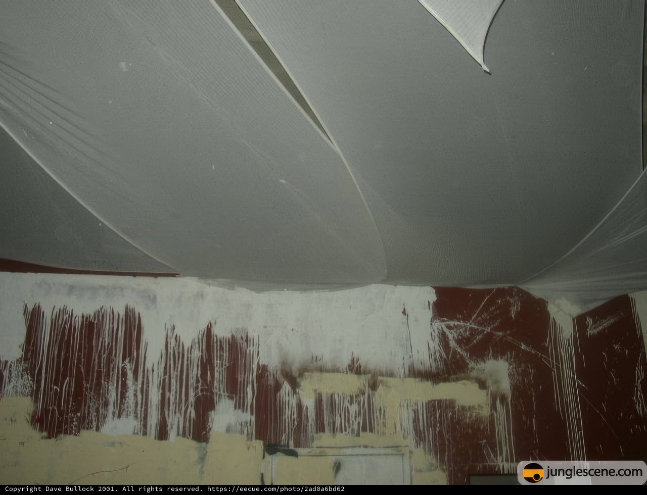 Mold Damage