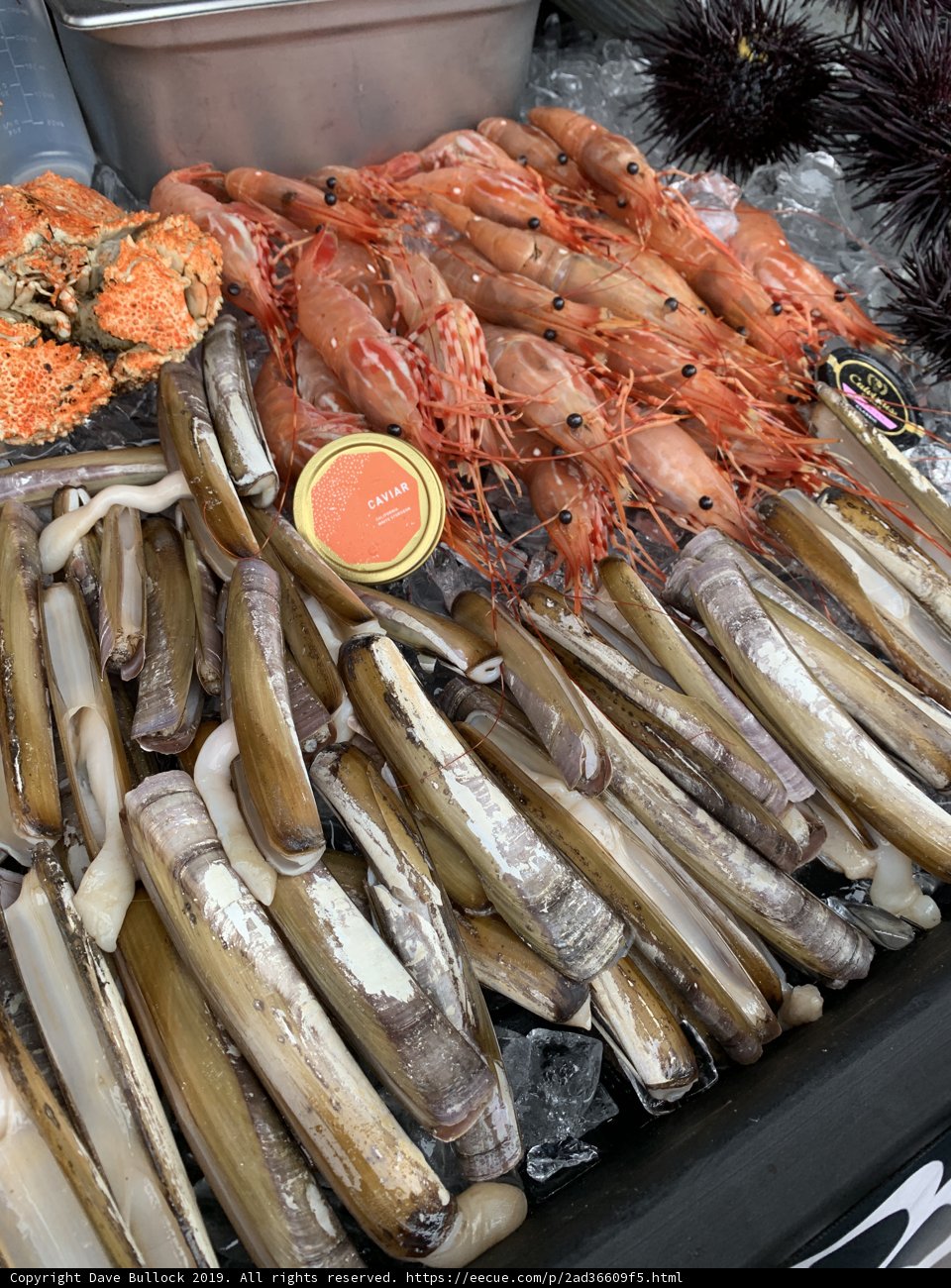 A Bounty of Seafood on Ice