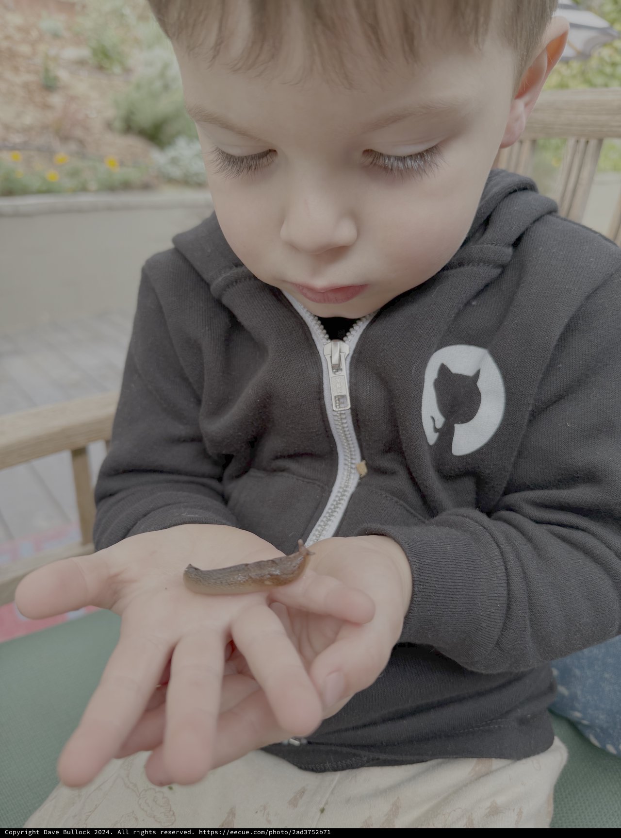 Child Gently Holding Small Garden Slug