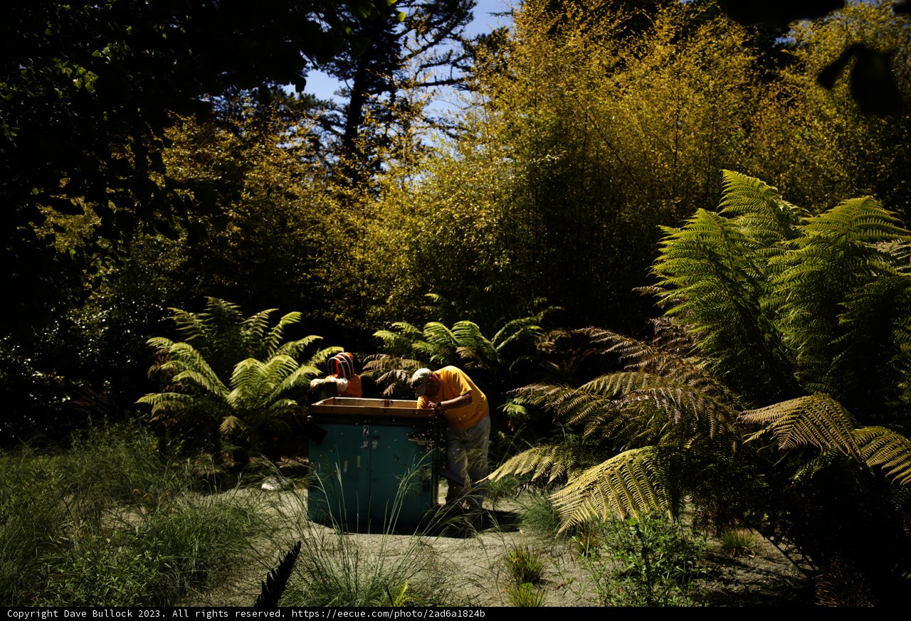 Harmony of Effort in Green Surroundings