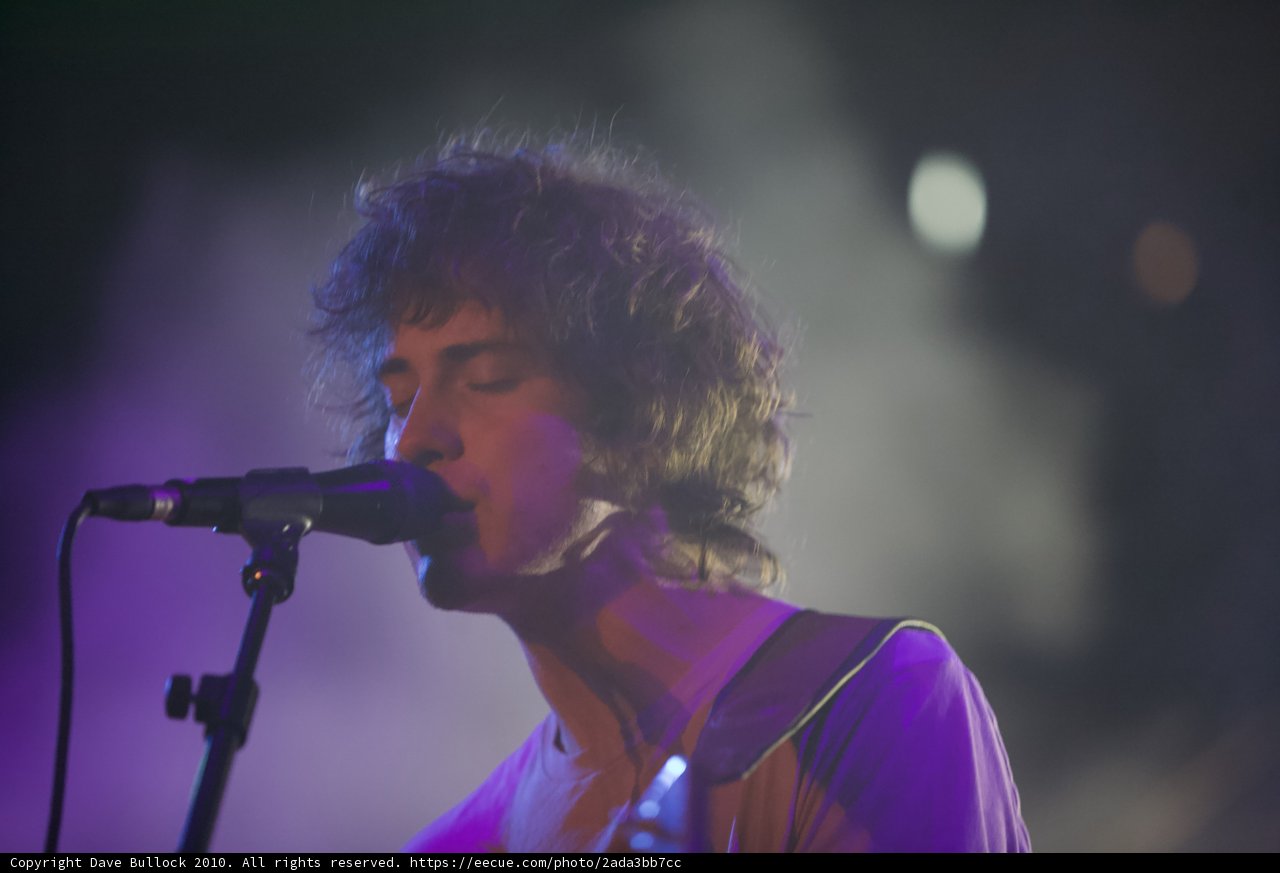 Andrew VanWyngarden Rocks Coachella with His Signature Curls and Microphone