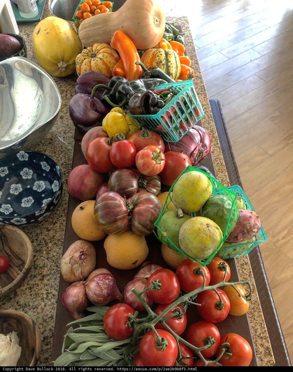 Fresh Harvest