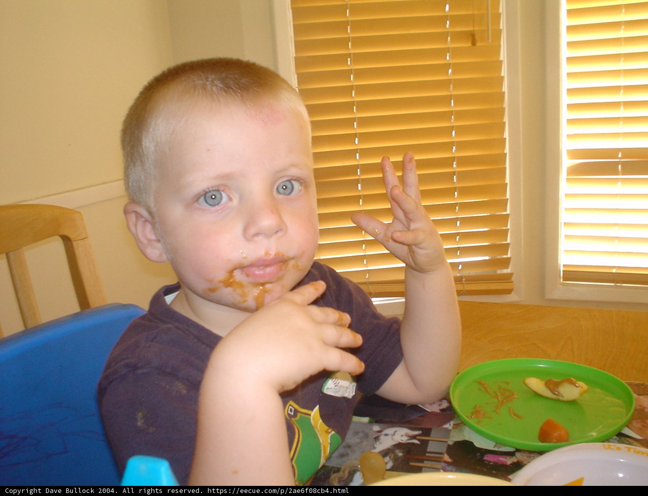 Little One's Mealtime Fiesta