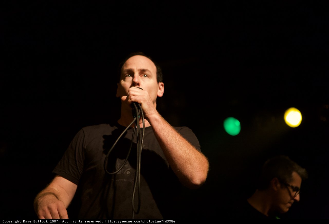 Bad Religion Concert Performance