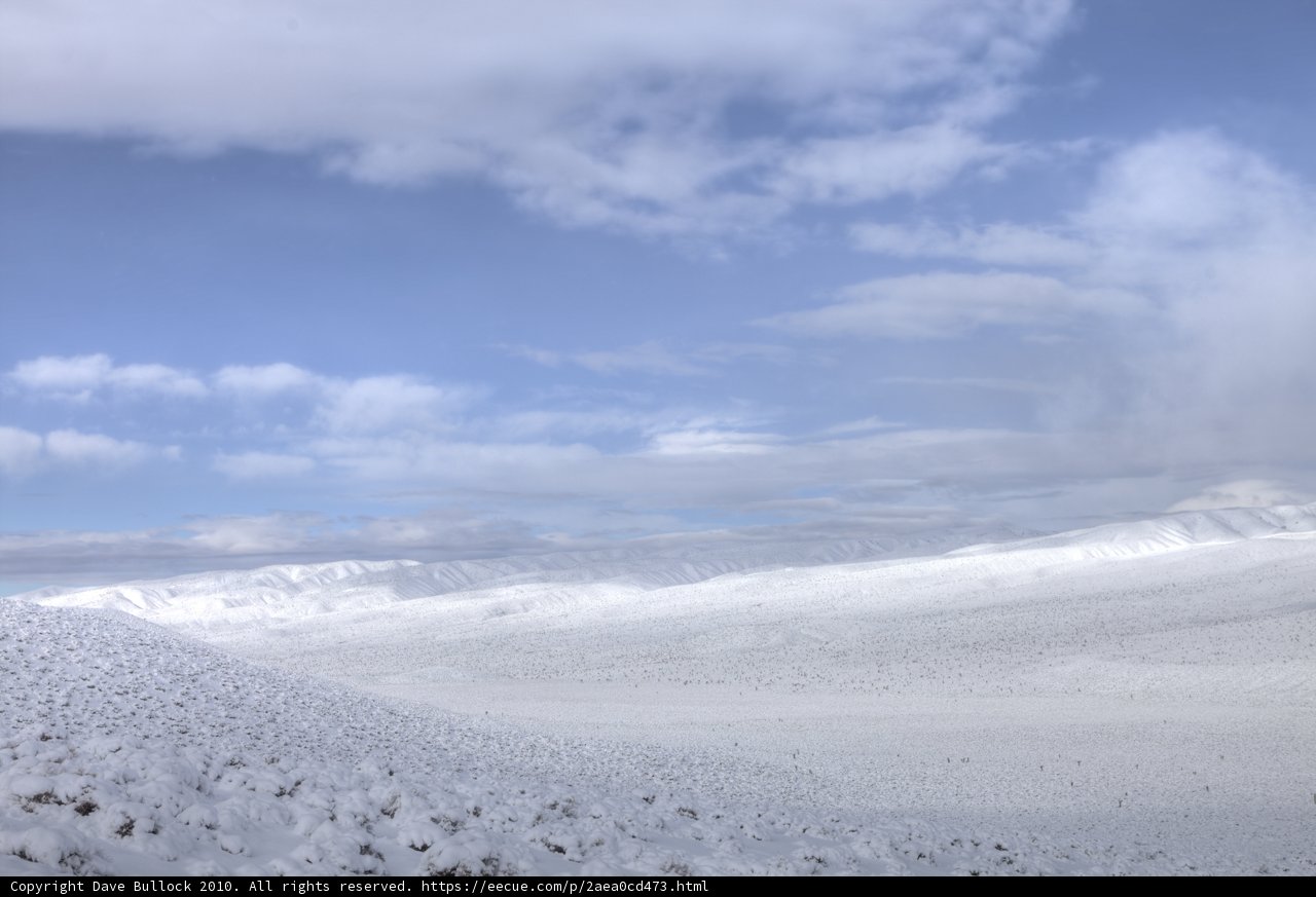 Winter Wonderland