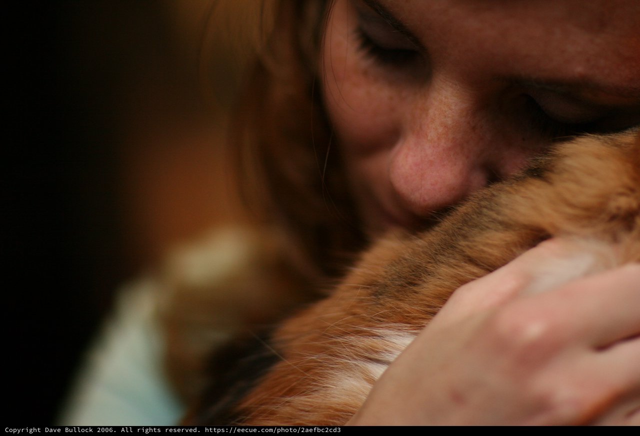 Tender Moment: Woman Nuzzling Orange Tabby Cat