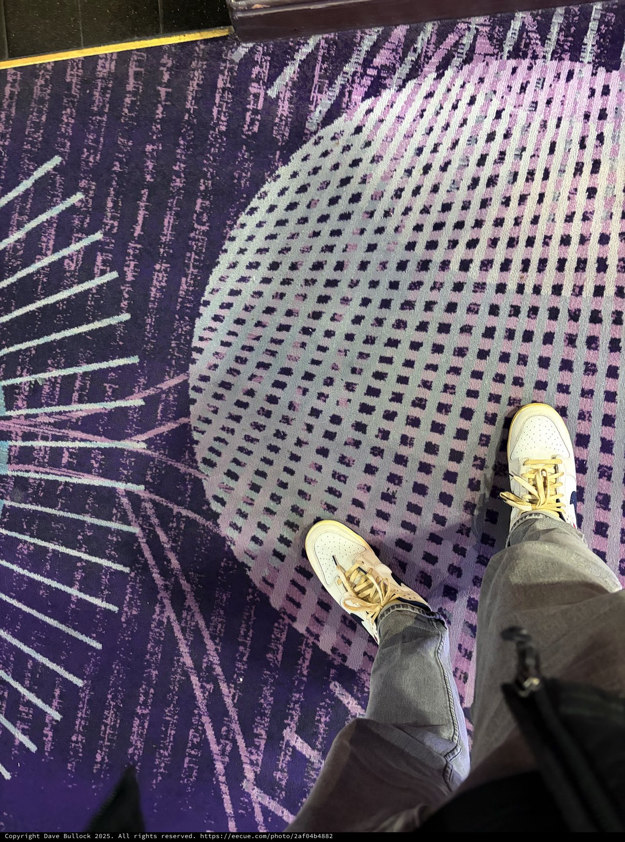 Standing on Abstract Purple Carpet with Halftone Pattern
