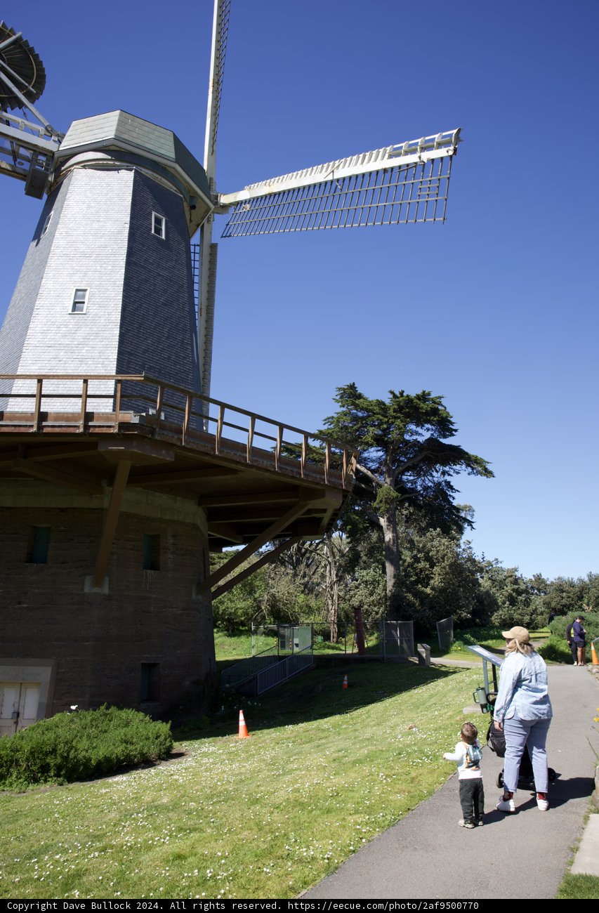 Breezy Outing at the Windmill - Golden Gate Park, 2024