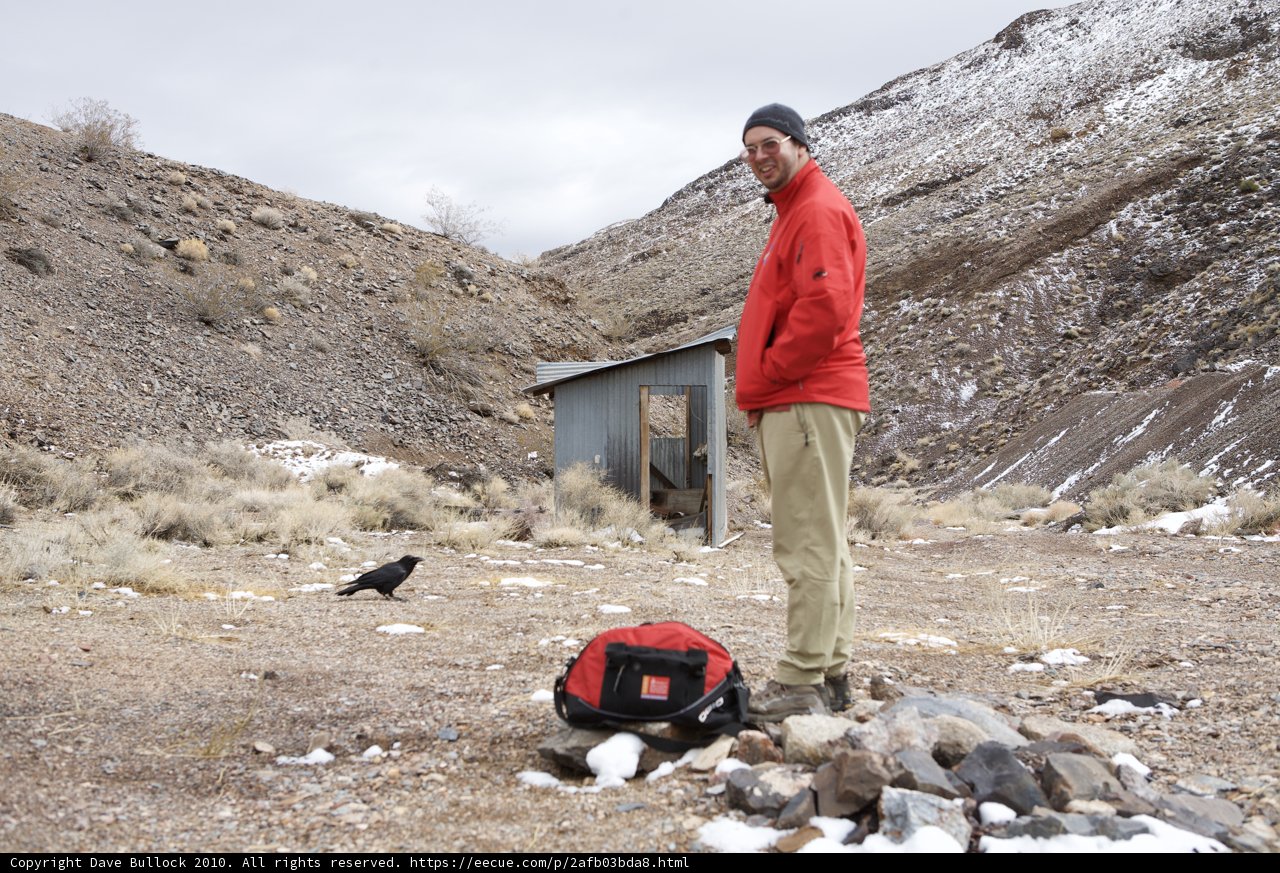 Desolate Shelter