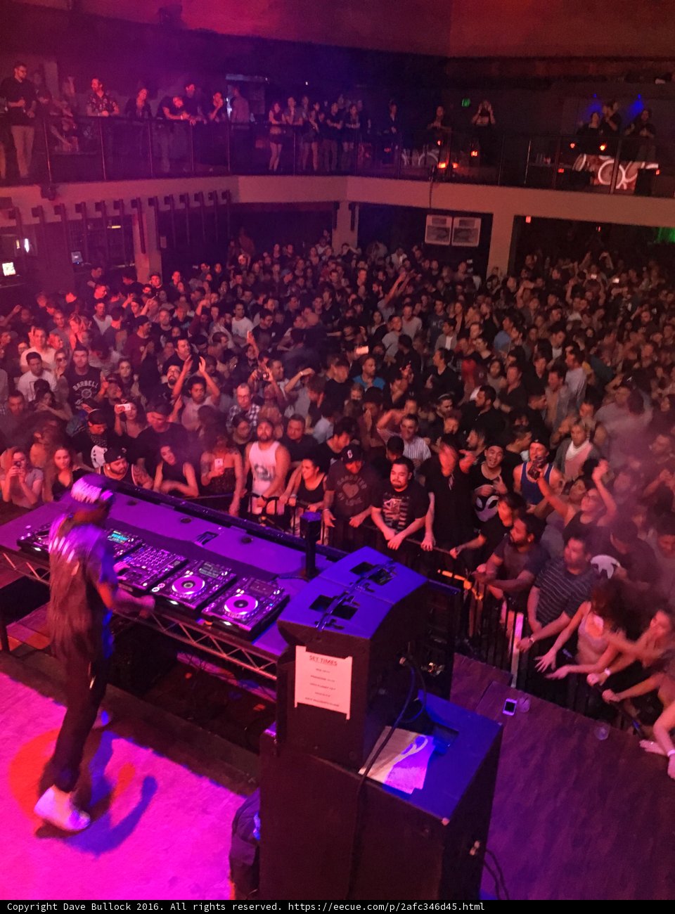 The Nightlife Vibe