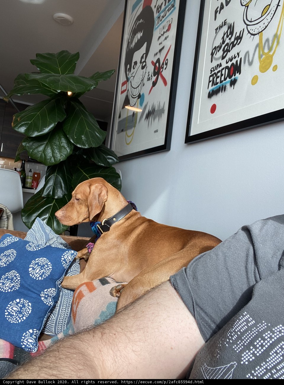 Relaxing with my Best Friend