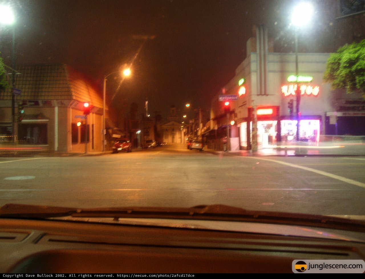 Nighttime in the Metropolis