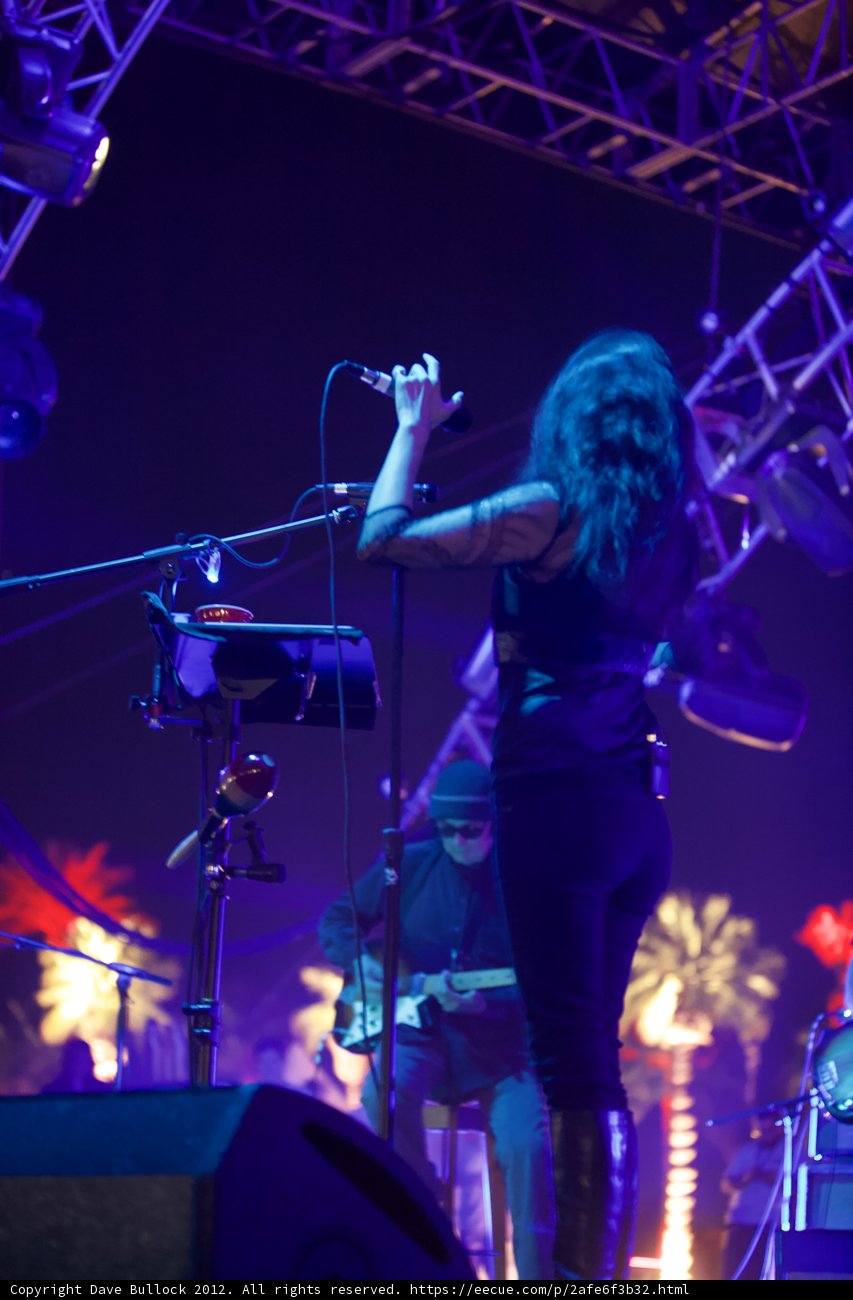 Rocking the Stage: A Live Performance at Coachella 2012