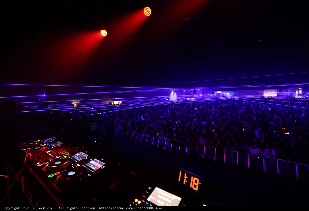 Massive EDM Crowd Bathed in Purple Laser Light