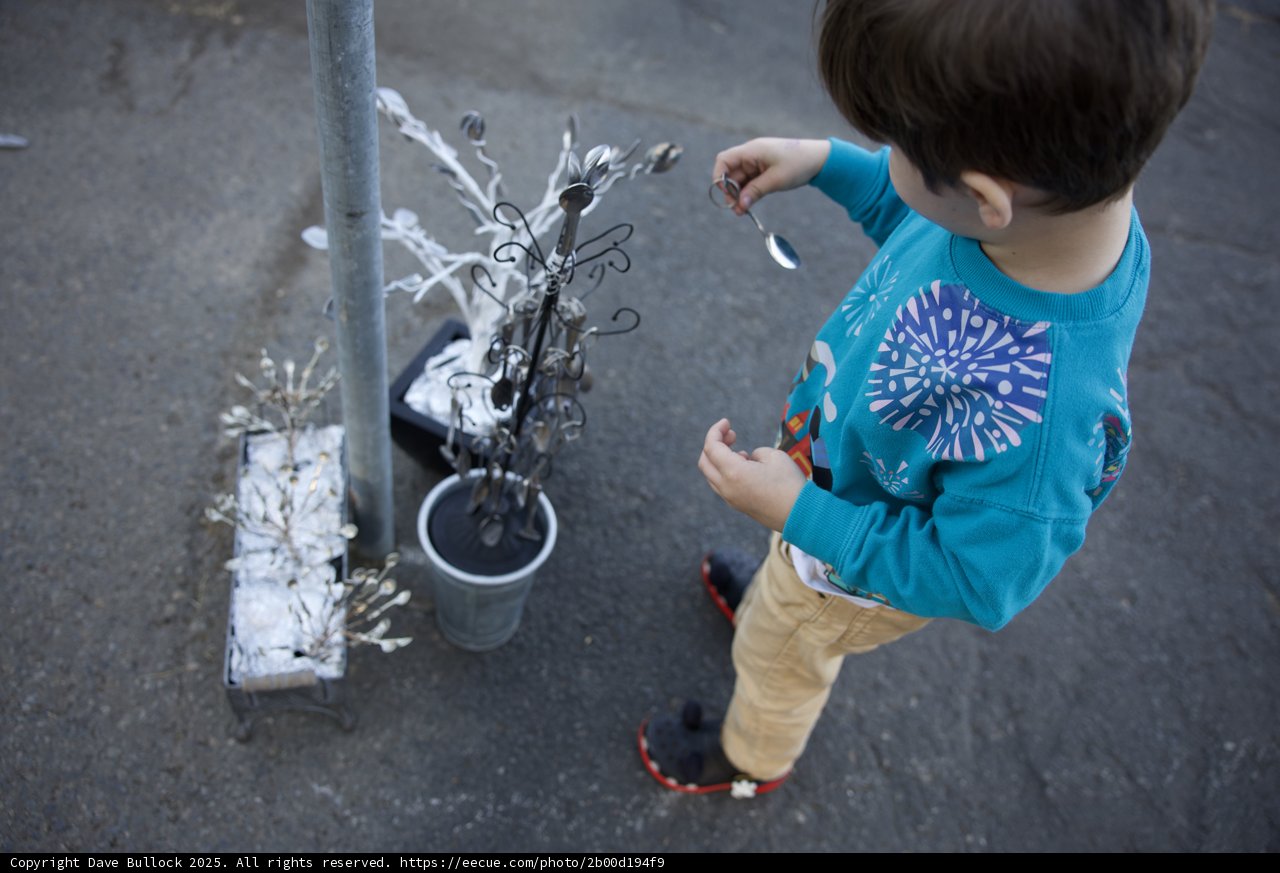 Curious Hands and Mechanical Trees