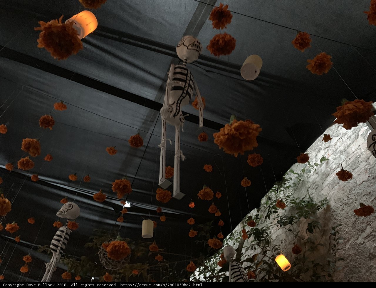 Skeleton in the Crypt