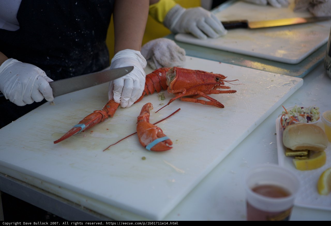 Lobster Preparation