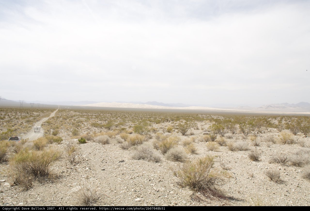 Finding Beauty in the Barren Land